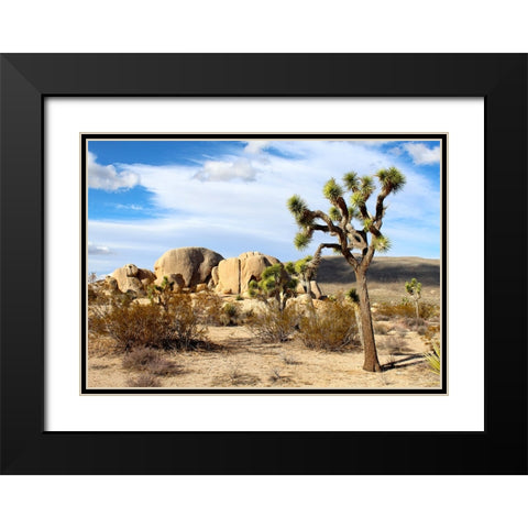 Southwest 1 Black Modern Wood Framed Art Print with Double Matting by Lee, Rachel