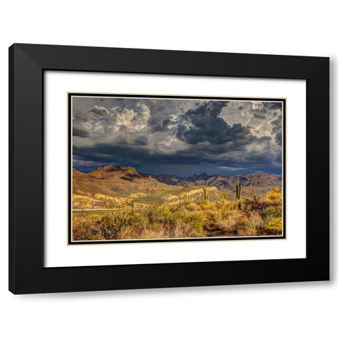 Southwest 7 Black Modern Wood Framed Art Print with Double Matting by Lee, Rachel