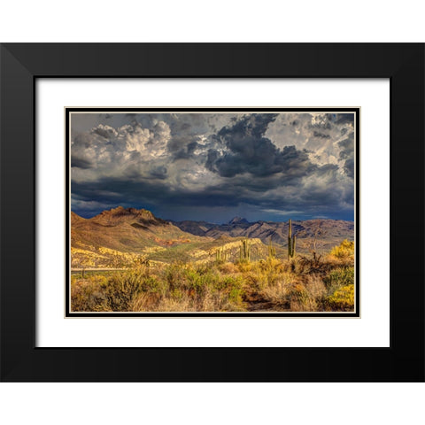 Southwest 7 Black Modern Wood Framed Art Print with Double Matting by Lee, Rachel