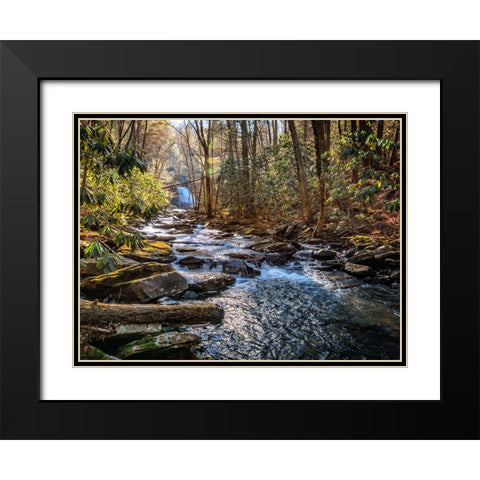 Stinging Fork Creek 1 Black Modern Wood Framed Art Print with Double Matting by Lee, Rachel
