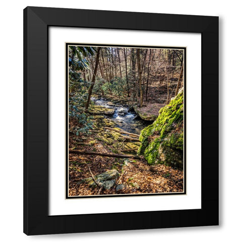 Stinging Fork Creek 6 Black Modern Wood Framed Art Print with Double Matting by Lee, Rachel