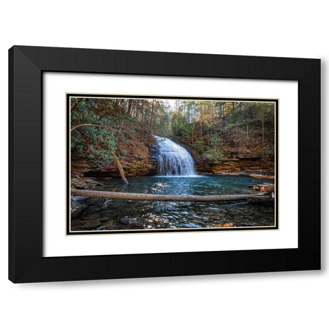 Stinging Fork Falls 2 Black Modern Wood Framed Art Print with Double Matting by Lee, Rachel