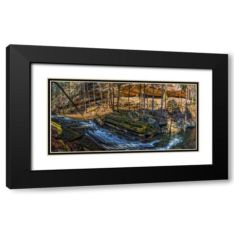 Stinging Fork Slide 1 Black Modern Wood Framed Art Print with Double Matting by Lee, Rachel