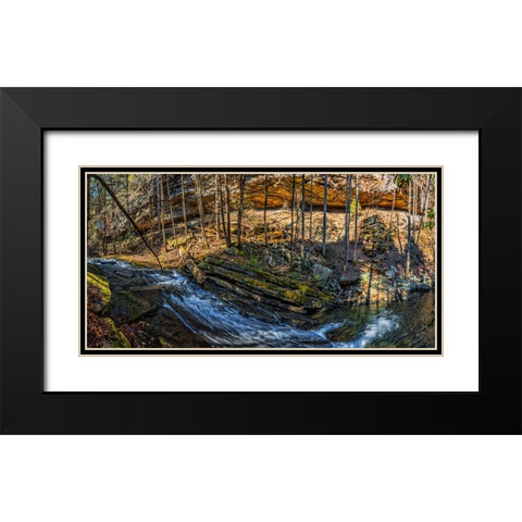 Stinging Fork Slide 1 Black Modern Wood Framed Art Print with Double Matting by Lee, Rachel