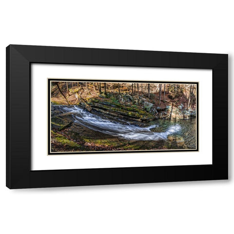 Stinging Fork Slide 2 Black Modern Wood Framed Art Print with Double Matting by Lee, Rachel
