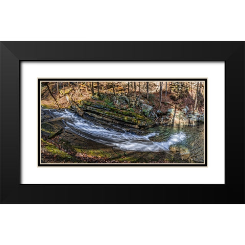 Stinging Fork Slide 2 Black Modern Wood Framed Art Print with Double Matting by Lee, Rachel