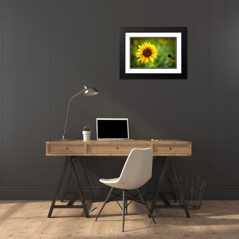 Sunflower Summer Black Modern Wood Framed Art Print with Double Matting by Lee, Rachel