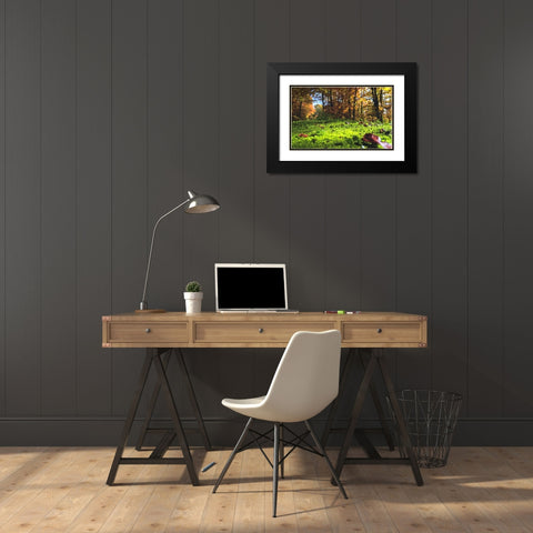 Trees 25 Black Modern Wood Framed Art Print with Double Matting by Lee, Rachel
