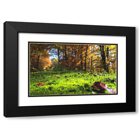 Trees 25 Black Modern Wood Framed Art Print with Double Matting by Lee, Rachel