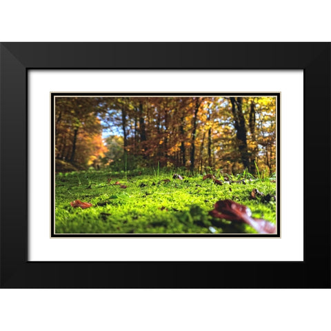 Trees 25 Black Modern Wood Framed Art Print with Double Matting by Lee, Rachel