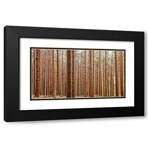 Trees 26 Black Modern Wood Framed Art Print with Double Matting by Lee, Rachel