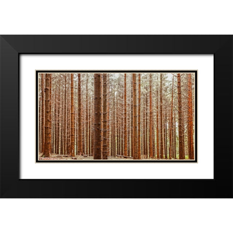 Trees 26 Black Modern Wood Framed Art Print with Double Matting by Lee, Rachel