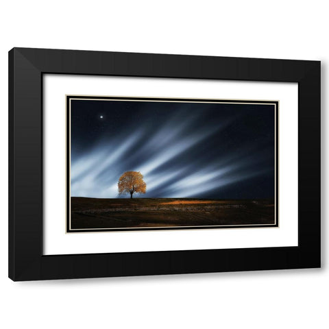 Trees 30 Black Modern Wood Framed Art Print with Double Matting by Lee, Rachel