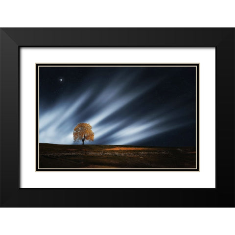 Trees 30 Black Modern Wood Framed Art Print with Double Matting by Lee, Rachel
