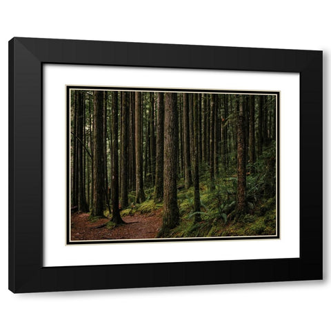 Trees 56 Black Modern Wood Framed Art Print with Double Matting by Lee, Rachel