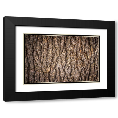 Trees 6 Black Modern Wood Framed Art Print with Double Matting by Lee, Rachel