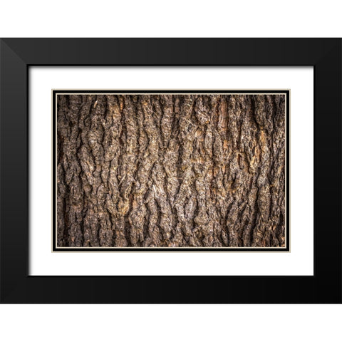 Trees 6 Black Modern Wood Framed Art Print with Double Matting by Lee, Rachel