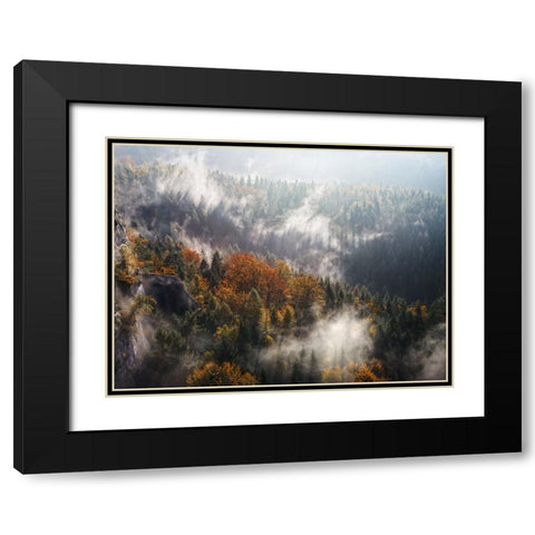 Trees 64 Black Modern Wood Framed Art Print with Double Matting by Lee, Rachel