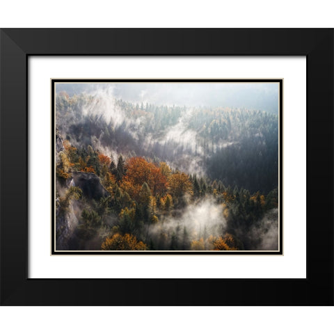 Trees 64 Black Modern Wood Framed Art Print with Double Matting by Lee, Rachel