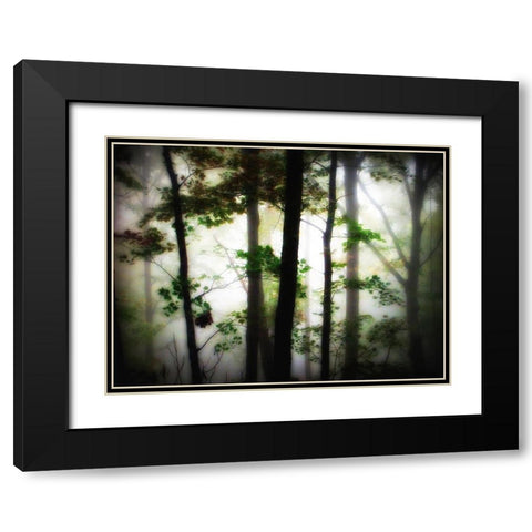 Trees 66 Black Modern Wood Framed Art Print with Double Matting by Lee, Rachel