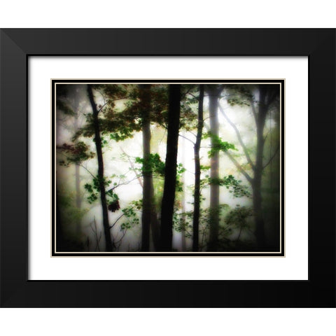 Trees 66 Black Modern Wood Framed Art Print with Double Matting by Lee, Rachel