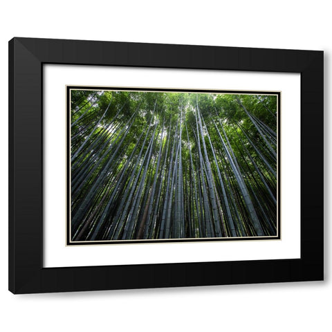 Trees 68 Black Modern Wood Framed Art Print with Double Matting by Lee, Rachel