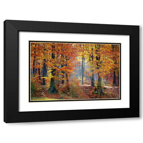 Trees 9 Black Modern Wood Framed Art Print with Double Matting by Lee, Rachel