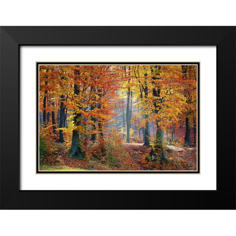Trees 9 Black Modern Wood Framed Art Print with Double Matting by Lee, Rachel