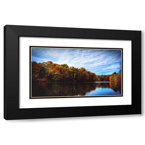 Trees and Water 5 Black Modern Wood Framed Art Print with Double Matting by Lee, Rachel
