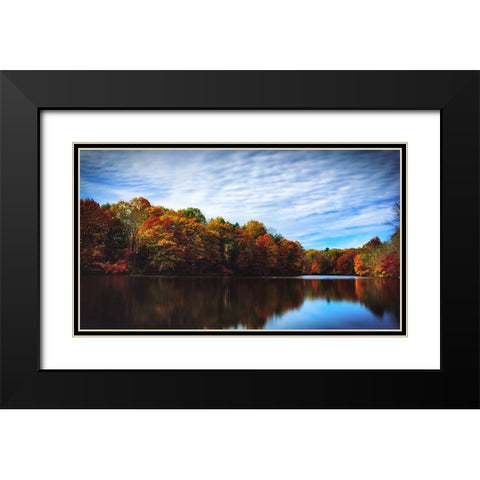 Trees and Water 5 Black Modern Wood Framed Art Print with Double Matting by Lee, Rachel