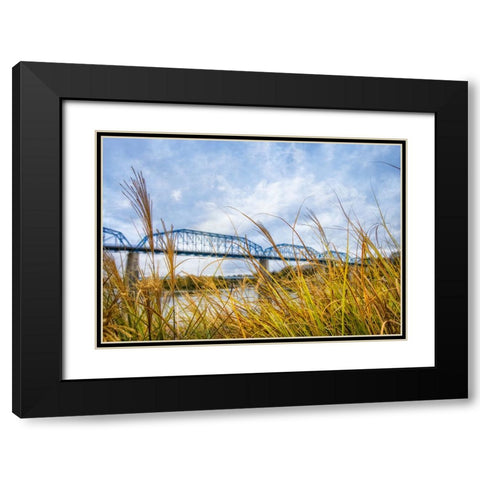 Walnut Grass Black Modern Wood Framed Art Print with Double Matting by Lee, Rachel
