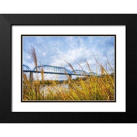 Walnut Grass Black Modern Wood Framed Art Print with Double Matting by Lee, Rachel