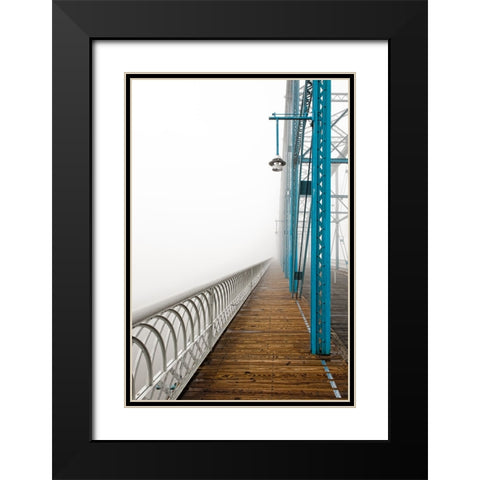 Walnut in Fog Left Black Modern Wood Framed Art Print with Double Matting by Lee, Rachel
