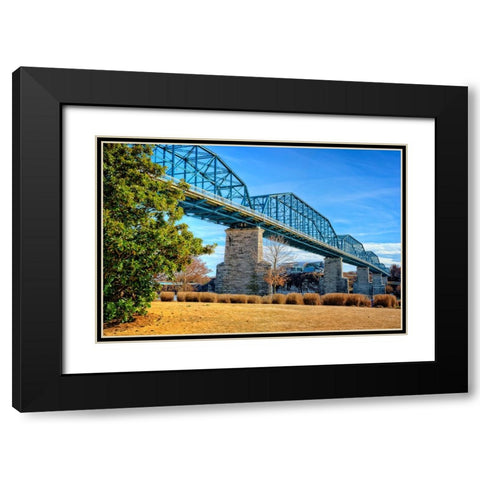 Walnut Warm Black Modern Wood Framed Art Print with Double Matting by Lee, Rachel