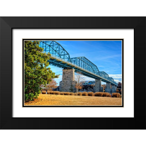Walnut Warm Black Modern Wood Framed Art Print with Double Matting by Lee, Rachel