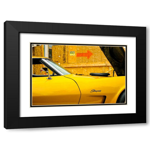 Stingray Black Modern Wood Framed Art Print with Double Matting by Malone, Will