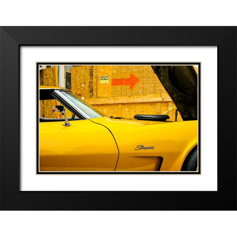 Stingray Black Modern Wood Framed Art Print with Double Matting by Malone, Will