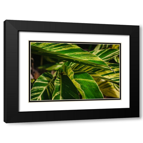 Green Black Modern Wood Framed Art Print with Double Matting by Malone, Will