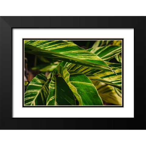 Green Black Modern Wood Framed Art Print with Double Matting by Malone, Will