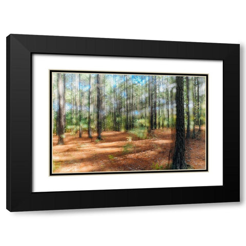 Blurry Forest 2 Black Modern Wood Framed Art Print with Double Matting by Malone, Will