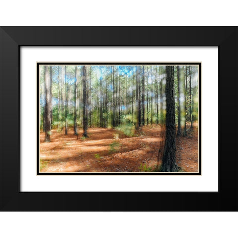 Blurry Forest 2 Black Modern Wood Framed Art Print with Double Matting by Malone, Will
