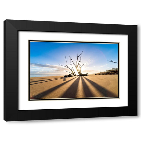 Shadow Black Modern Wood Framed Art Print with Double Matting by Malone, Will