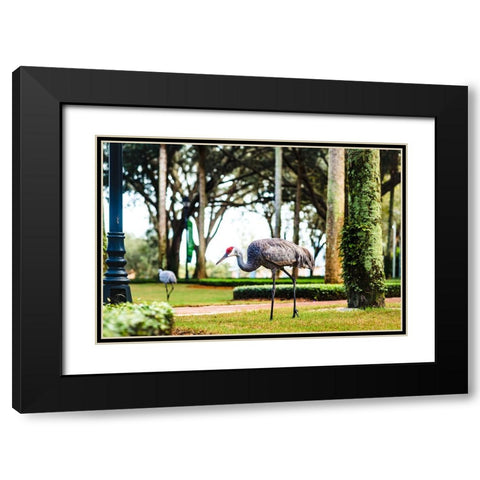 2 Birds and a Lizard Black Modern Wood Framed Art Print with Double Matting by Malone, Will