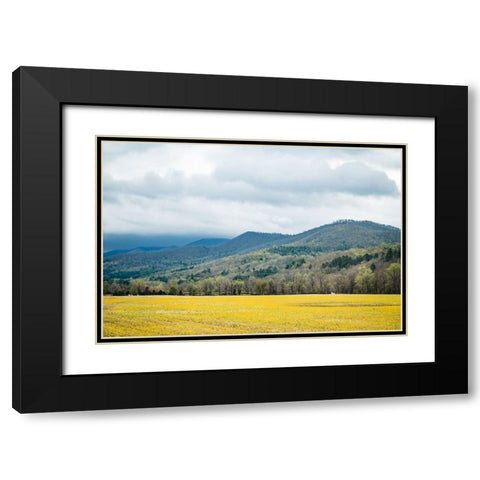 Yellow Fields Black Modern Wood Framed Art Print with Double Matting by Malone, Will