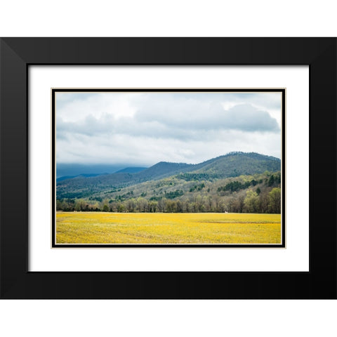 Yellow Fields Black Modern Wood Framed Art Print with Double Matting by Malone, Will