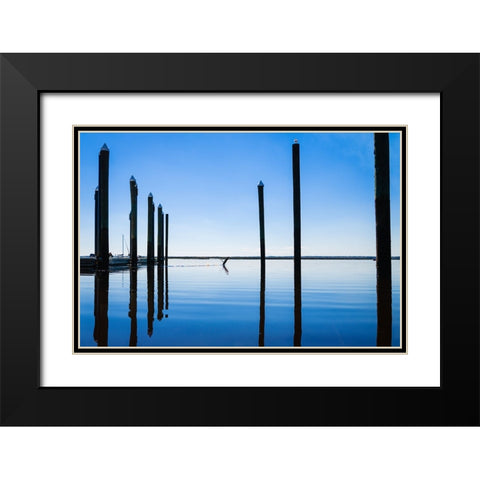 Take Flight Black Modern Wood Framed Art Print with Double Matting by Malone, Will