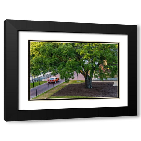 Camaro Through The Park Black Modern Wood Framed Art Print with Double Matting by Malone, Will