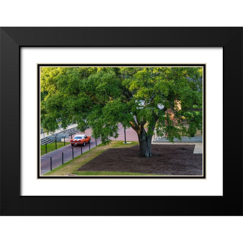 Camaro Through The Park Black Modern Wood Framed Art Print with Double Matting by Malone, Will