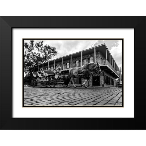 Horse Tour Black Modern Wood Framed Art Print with Double Matting by Malone, Will