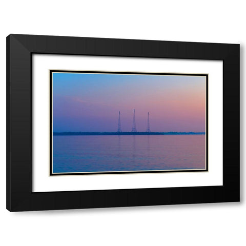 Antennae Black Modern Wood Framed Art Print with Double Matting by Malone, Will